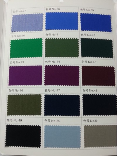 GZ- LEEN  C70% N27% SP3% L58011 後面照